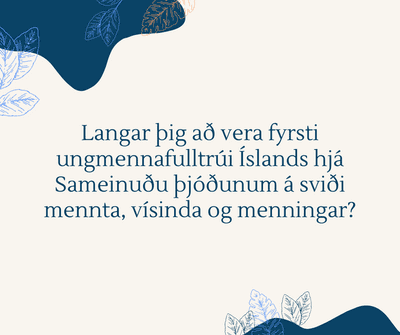 Langar þig að vera fyrsti ungmennafulltrúi Íslands hjá Sameinuðu þjóðunum á sviði mennta, vísinda og menningar?